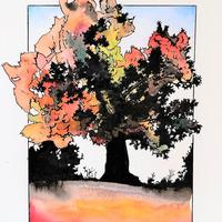 Fôret expérimentale