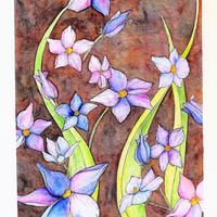 Série Illustration - Anémone pulsative