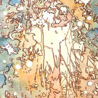 Creative Forest 23A1