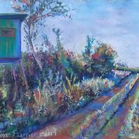 Campagne Autrichienne