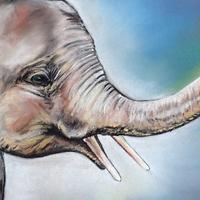 Éléphant Népalais