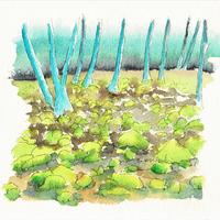 Le cimetière des enragés, Bagnols (63)