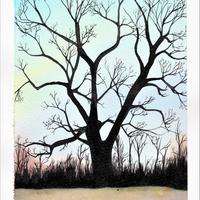 Tilleul de la Fage, Bagnols (63)