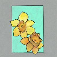 Jonquille, Laqueuille (63)