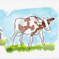 Ferrandaise 1, Perpezat (63)