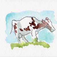 Ferrandaise 2, Perpezat (63)