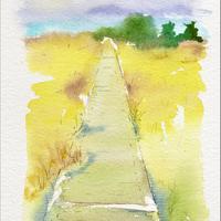 Tourbière de Jouvion, Saint-Donat (63)