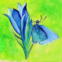 Azurée des moulières, Saint-Donat (63)