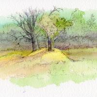 Tumulus, Saint-Donat (63)