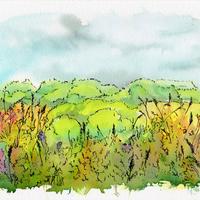 La narse d'Espinasse, Saulzet-le-Froid (63)