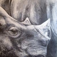 Rhino
