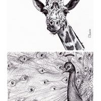 Série animalière au bic (63)