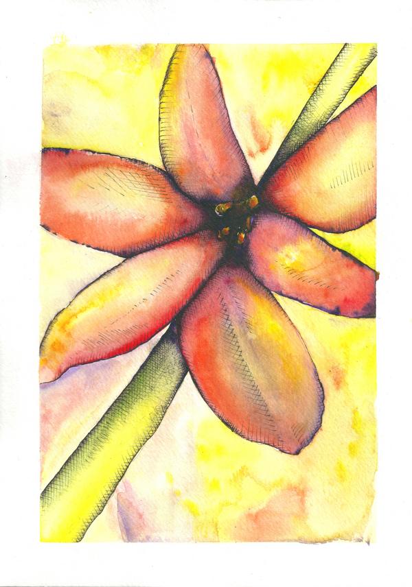 Water colour flower 1